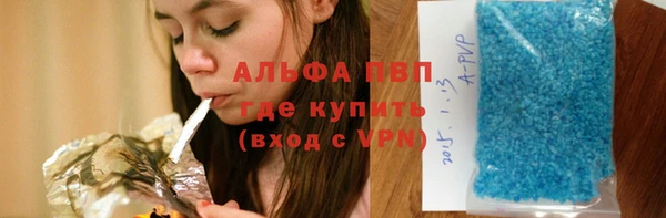 индика Абинск
