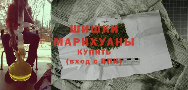 индика Абинск