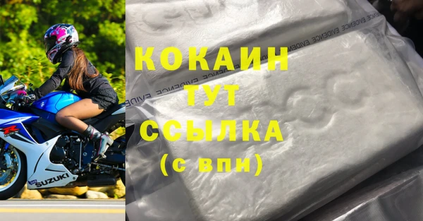 индика Абинск