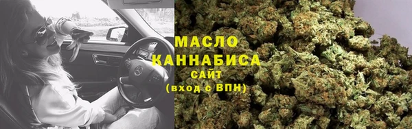 индика Абинск