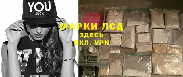 индика Абинск