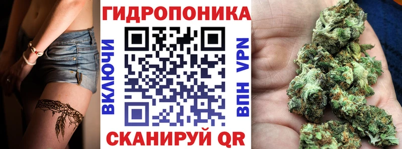 мориарти телеграм  Мыски  Марихуана Bruce Banner 